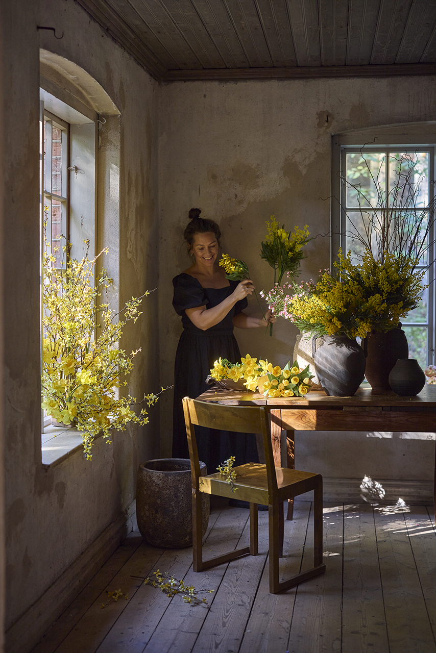 /images/imagebankSeasons/small/Mr Plant SS 2024/2620-50,8084-50,4697-50,4699-50,9668-50,4199-70.jpg